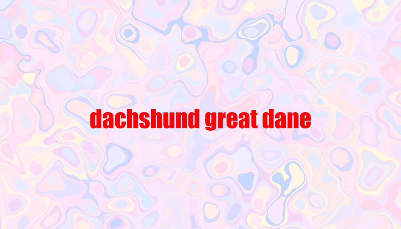 Dachshund Great Dane