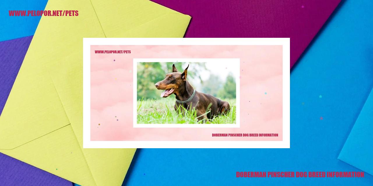 Doberman Pinscher Dog Breed Information