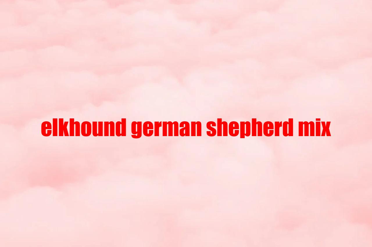 Elkhound German Shepherd Mix