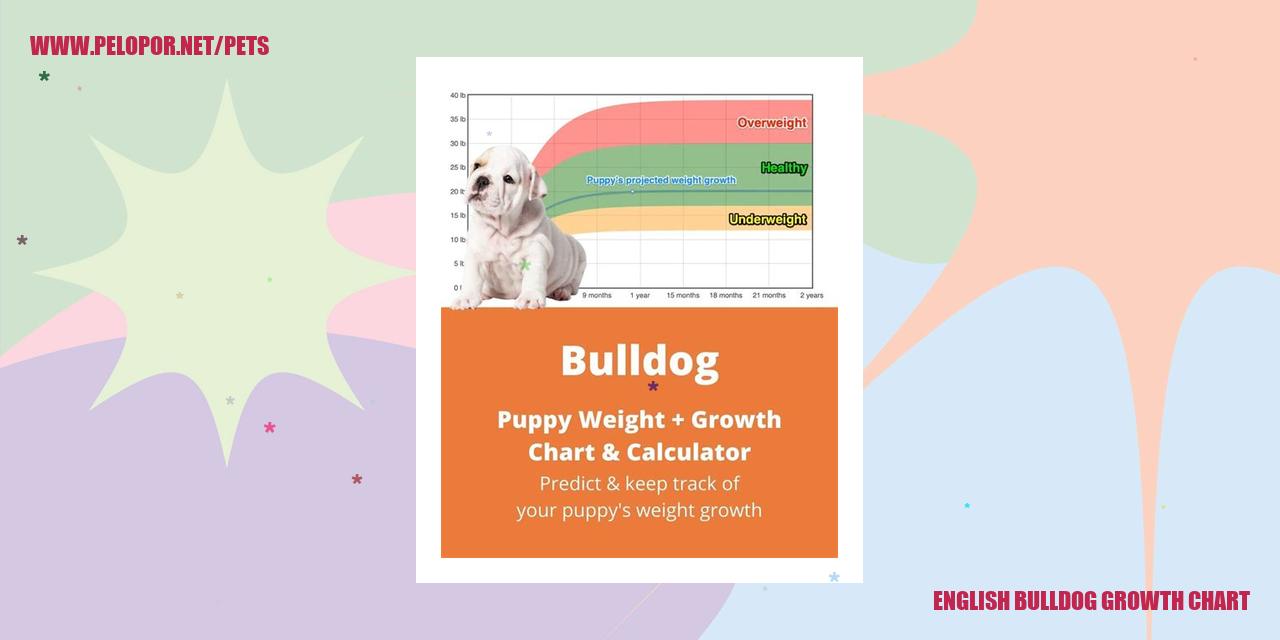 English Bulldog Growth Chart