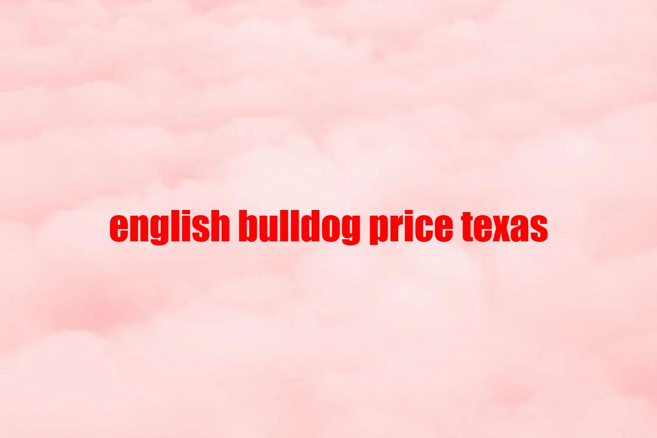 English Bulldog Price Texas
