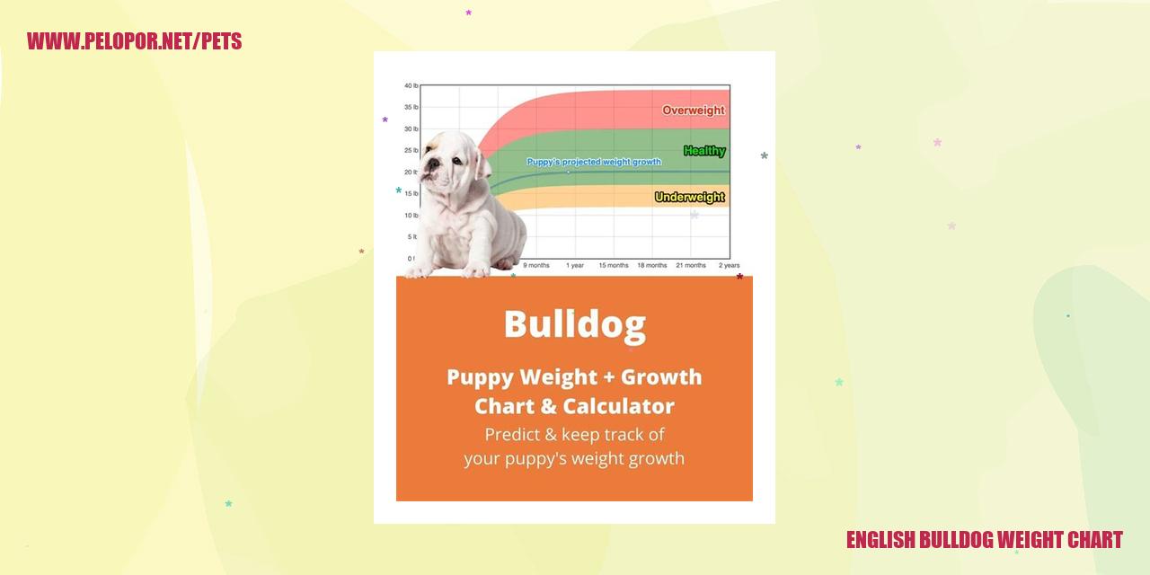 English Bulldog Weight Chart