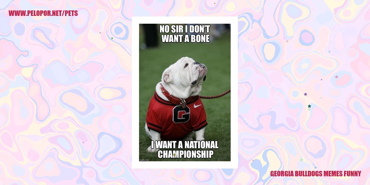 Georgia Bulldogs Memes Funny