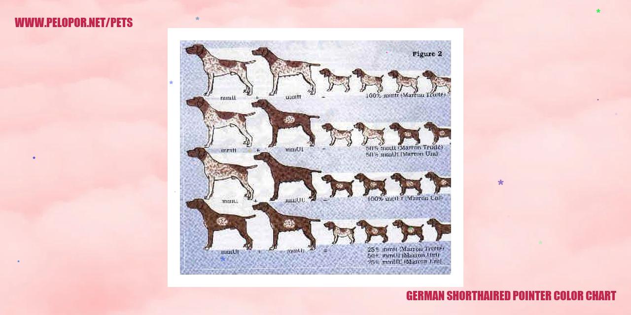 German Shorthaired Pointer Color Chart