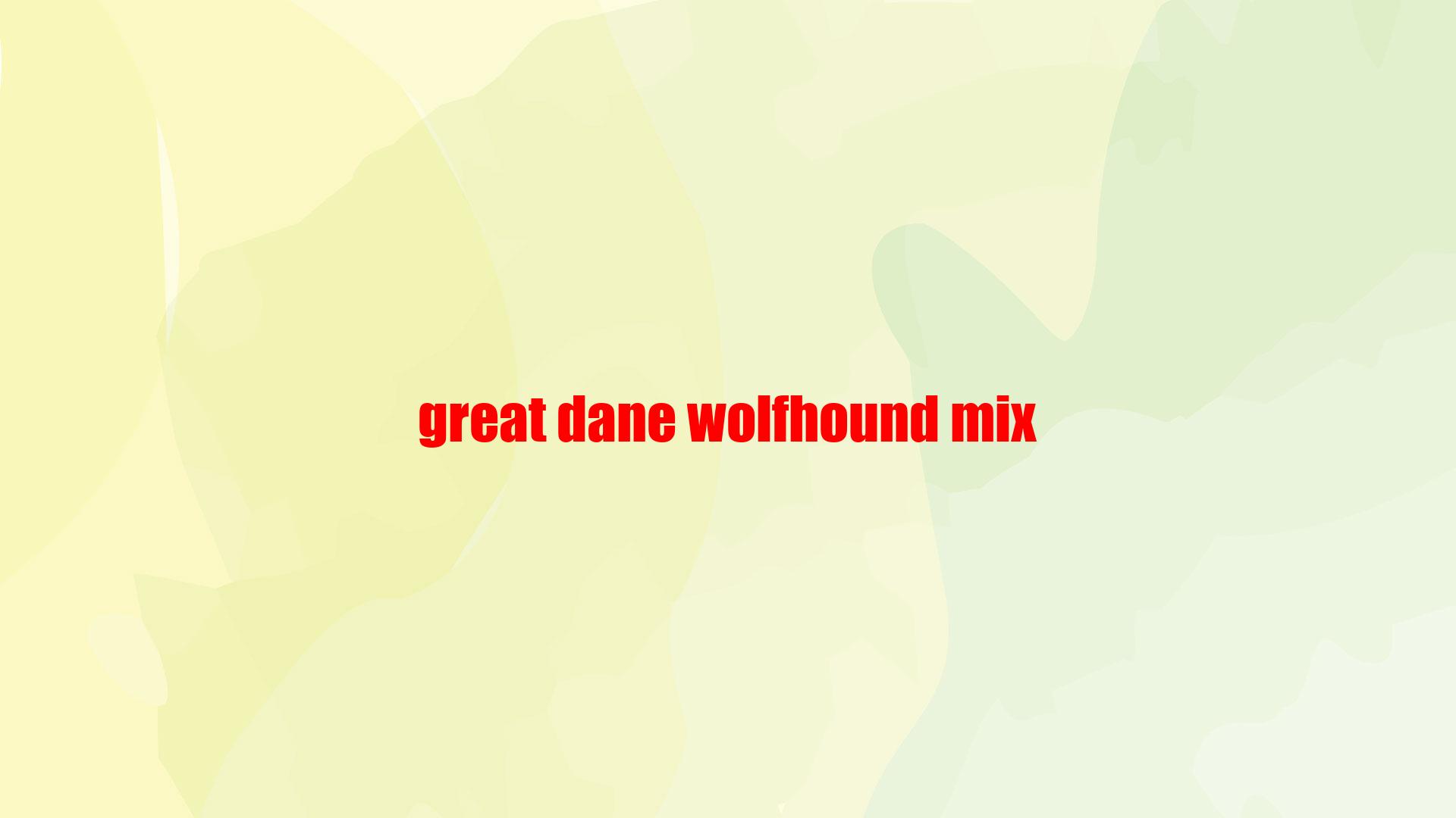 Great Dane Wolfhound Mix