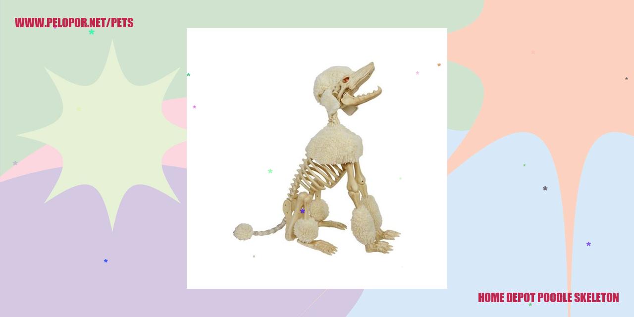 Home Depot Poodle Skeleton