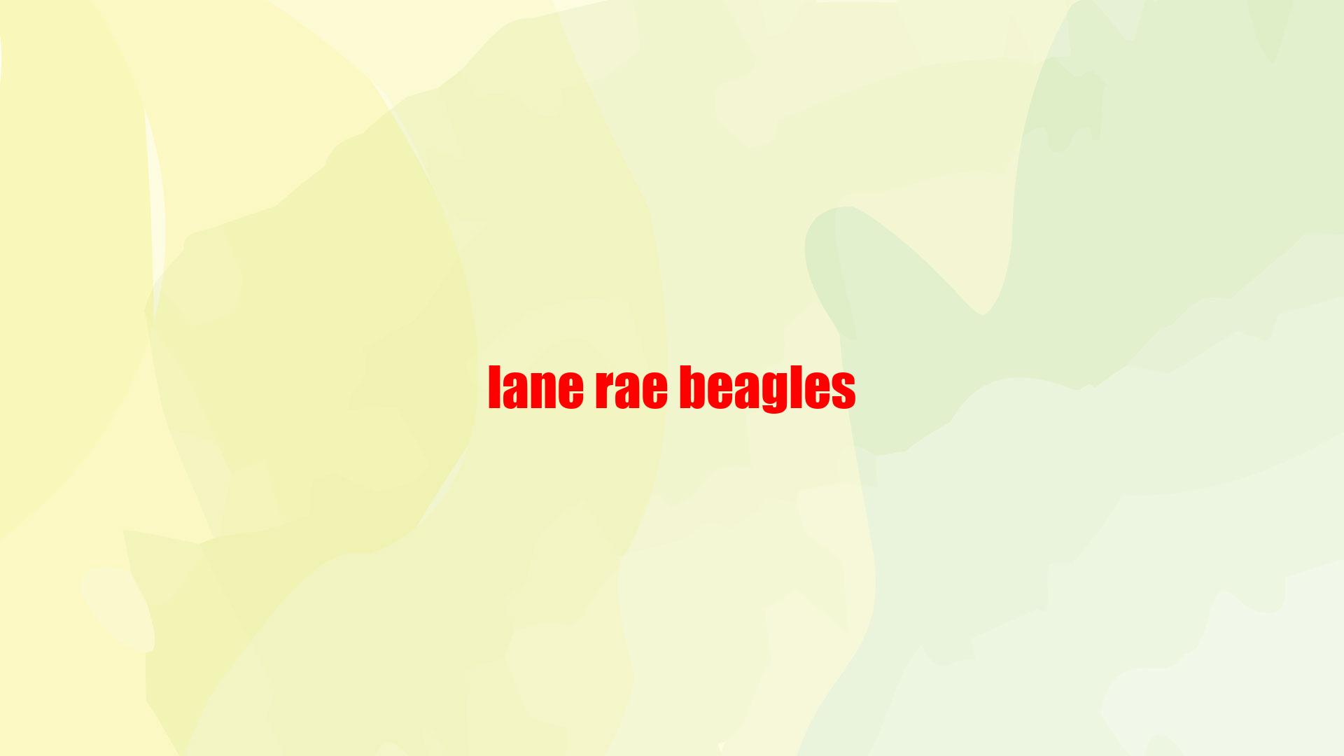 Lane Rae Beagles