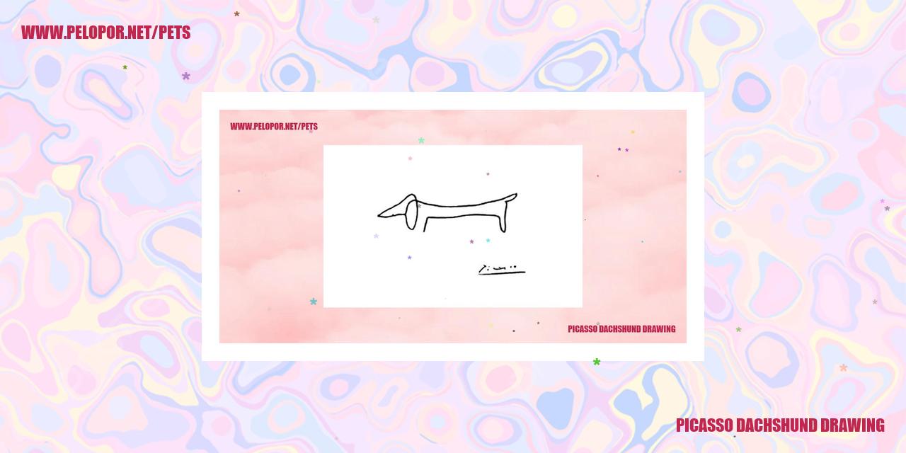 Picasso Dachshund Drawing
