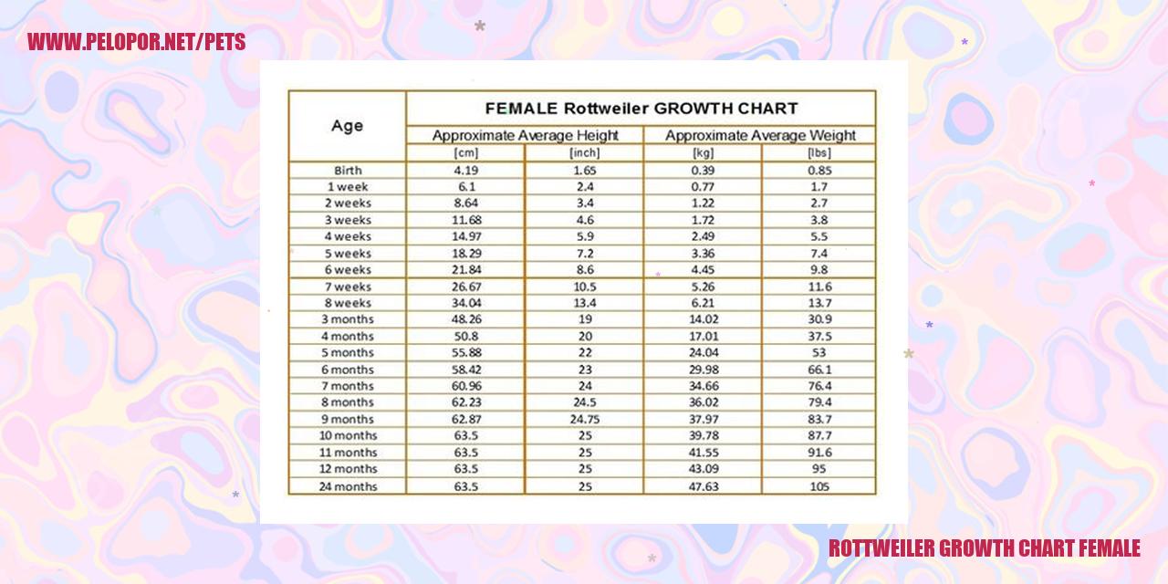 Rottweiler Growth Chart Female