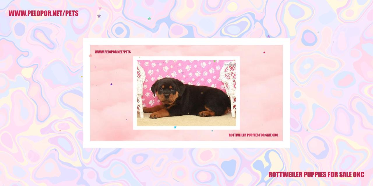 Rottweiler Puppies For Sale Okc