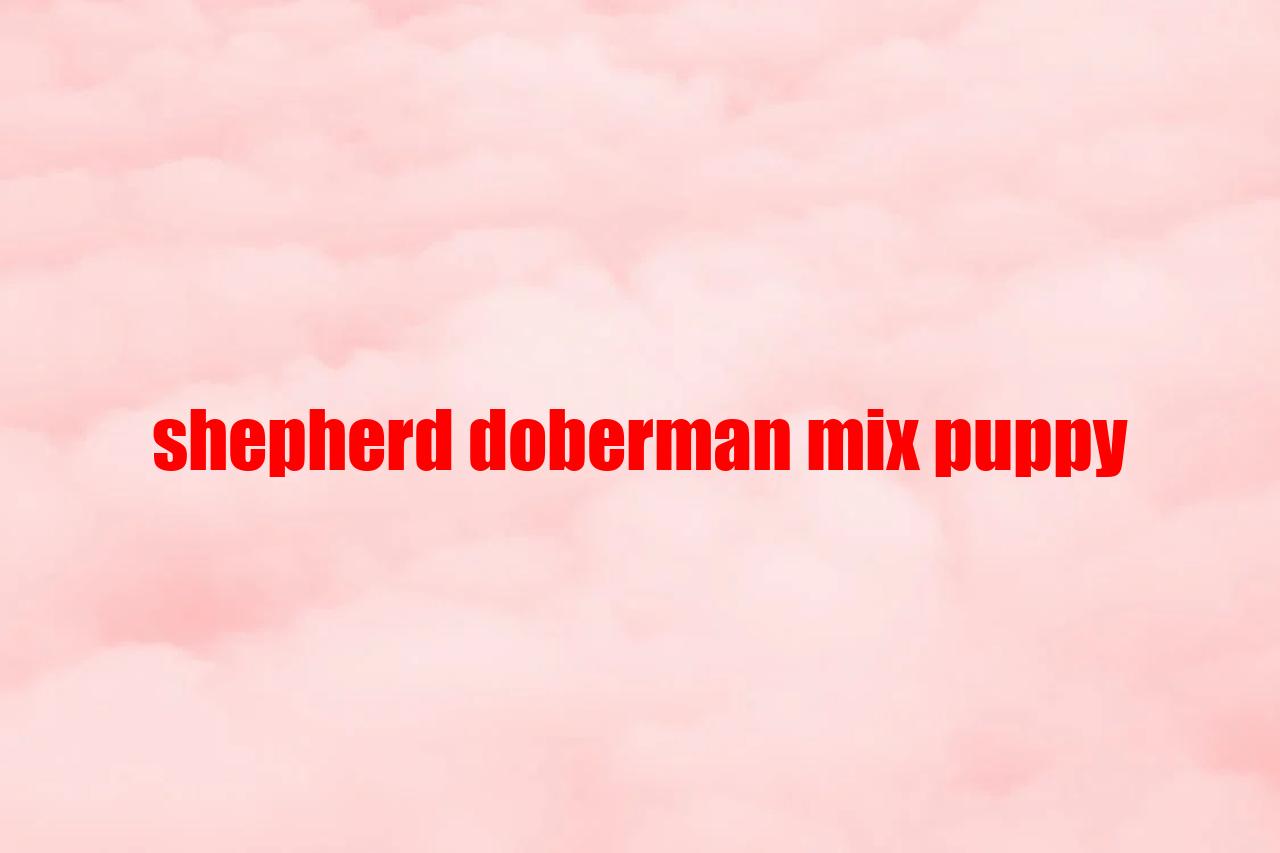 Shepherd Doberman Mix Puppy