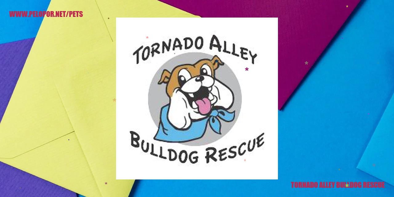Tornado Alley Bulldog Rescue