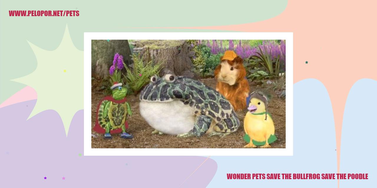 Wonder Pets Save The Bullfrog Save The Poodle